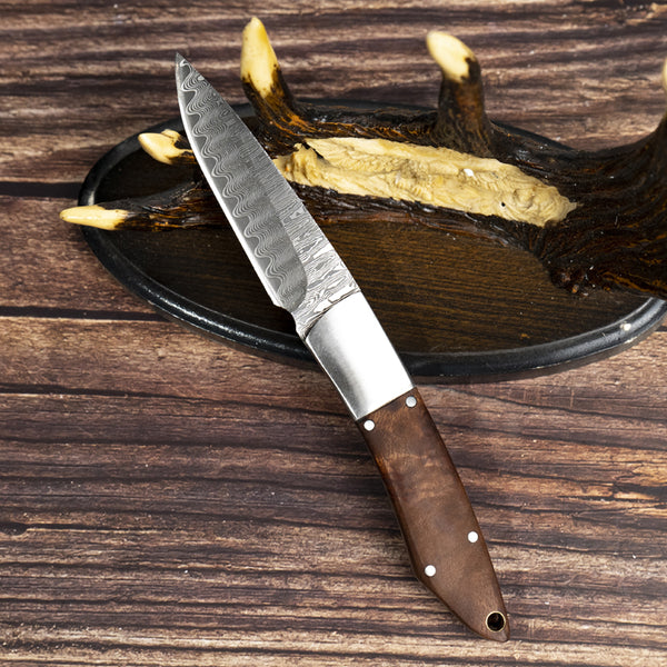 A4651 Damascus Fixed Blade Knife